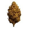 Goldener Bud