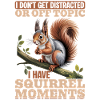 Squirrel funny Animal
