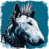 Punk Rock Bull Terrier