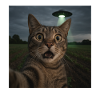 Cat Selfie With Alien UFO