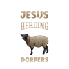 Jesus and Sheep - Dorperschaf