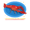 Crayfish Noble Crayfish Seafood Gifts