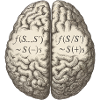 Neurolinguistic Entity