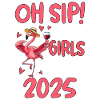 Women's Trip Flamingo with Wine 2025