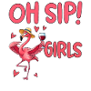Flamingo Girls Trip Design
