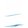 Diving diving board