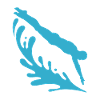 Diving diving board
