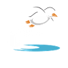 Diving diving board
