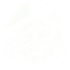 pirate skull
