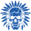 Indian Skull