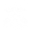 viking skull
