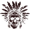 Indian Skull 01