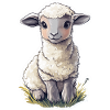 Sheep