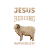 Jesus und Schaf - Rambouillet-Schaf