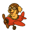 Adventurous dog on the plane