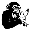 Monkey squeezes pigeon