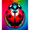 ladybird