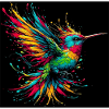 colibri