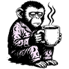 Sans café le matin