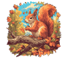 Eichhörnchen