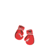 Boxing