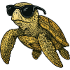 Cool turtle with sunglasses