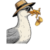 Lässige Möwe mit Sonnenhut und Sonnenbrille