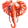 Éléphant