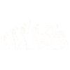 Motorcycle Biker Evolution