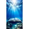 Underwater Book
