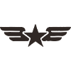 Winged Star Icon – Military Aviation Emblem