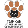 Team Cat: The Real