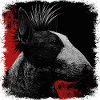 Punk Rock Bull Terrier