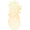 Gold Outline Pineapple Tropical Design
