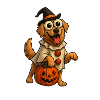 Halloween Dog with Witch Hat