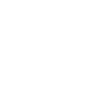 Nordlicht mit Möwe - weiß