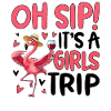 Pink Flamingo Drinking Fun Design
