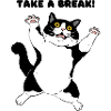 Playful Black and White Cat Illustration