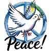 Peacemöwe – Die norddeutsche Friedenstaube