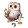 Owl