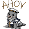 Seal in sailor clothes Ahoy