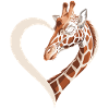 Giraffe Heart Safari