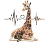 Giraffe Herzschlag