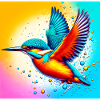 kingfisher