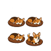 Corgi