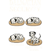 Dalmatian