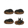 Doberman