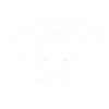 Crâne Crâne Mexicains