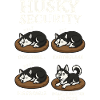 Husky