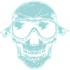 skull ski goggles